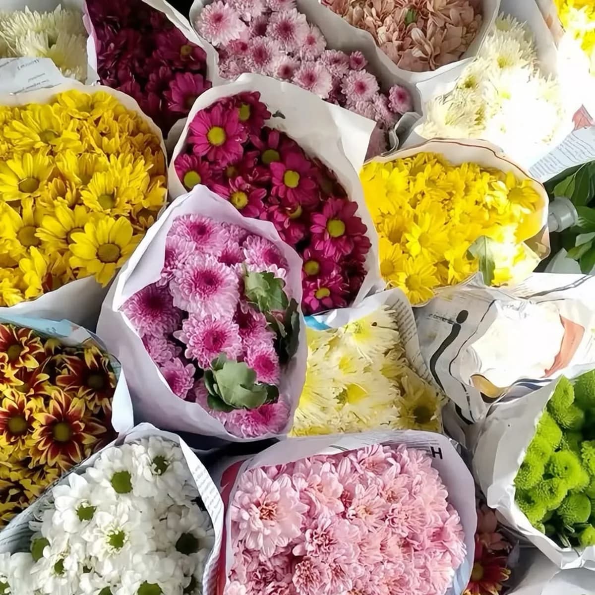 Surtido de flores variadas