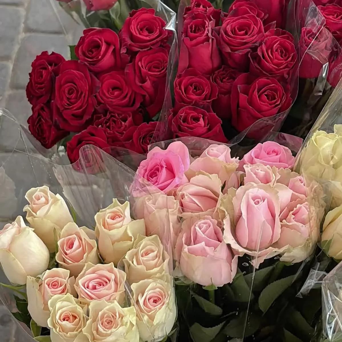 Rosas rojas, rosadas y blancas